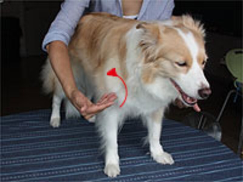 指先で空気をかき上げる