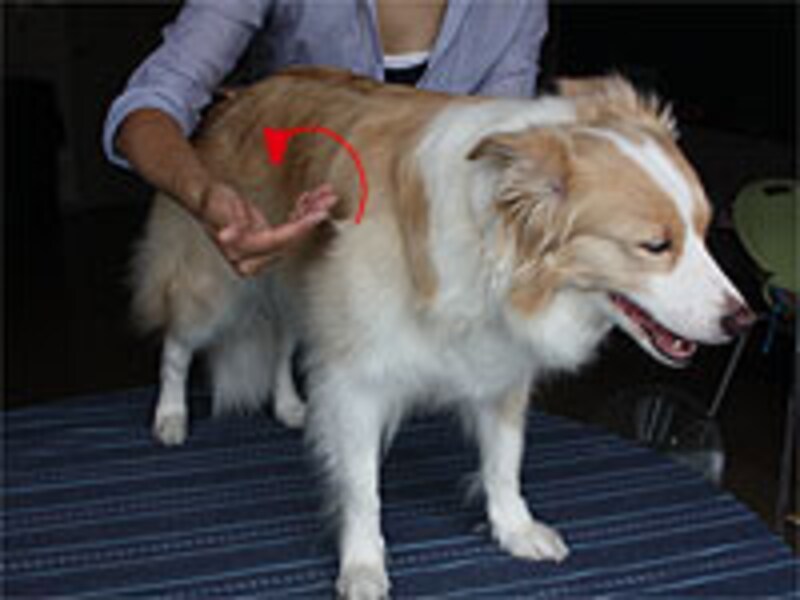 自分の呼吸にも気配りを