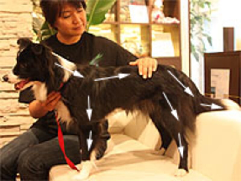 2番目と同じ「ストローク」をもう一度