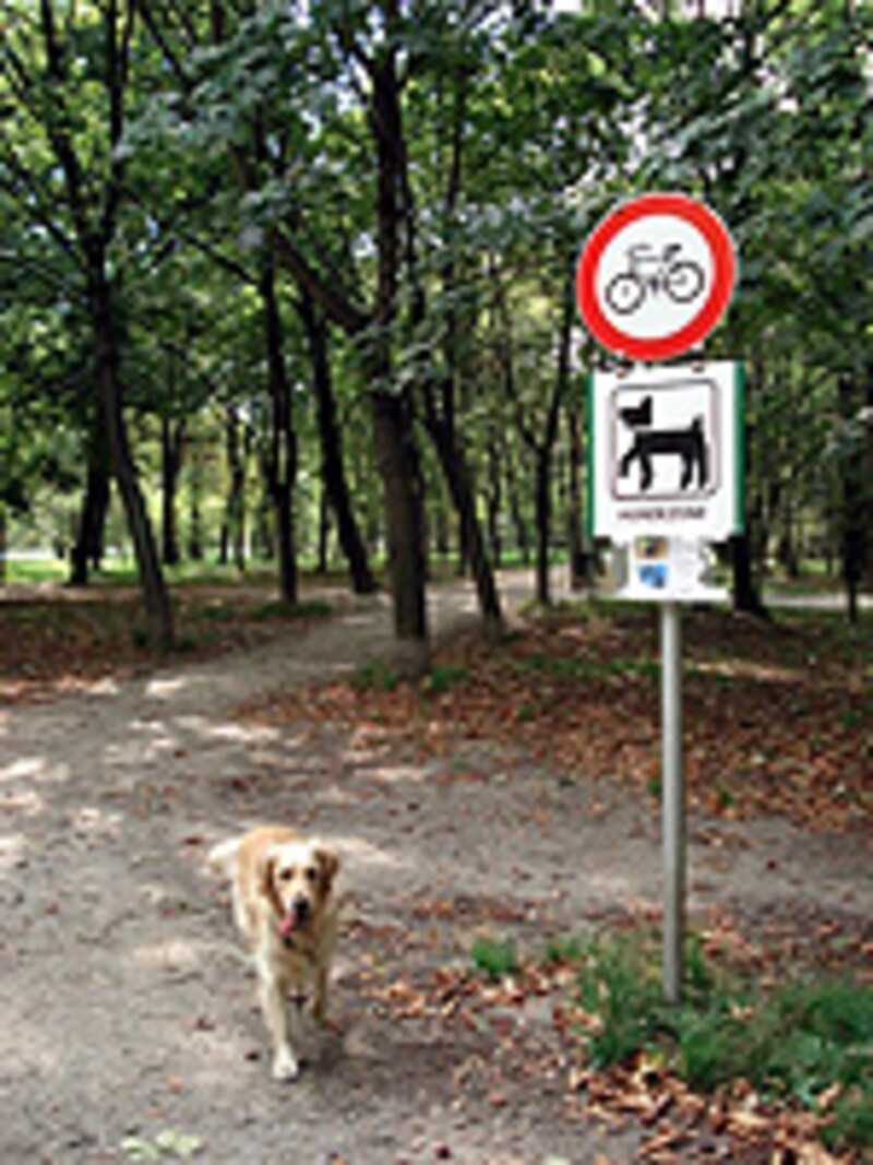 ドッグゾーンであることを示すマーク