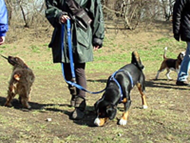 歩き方のレッスン中