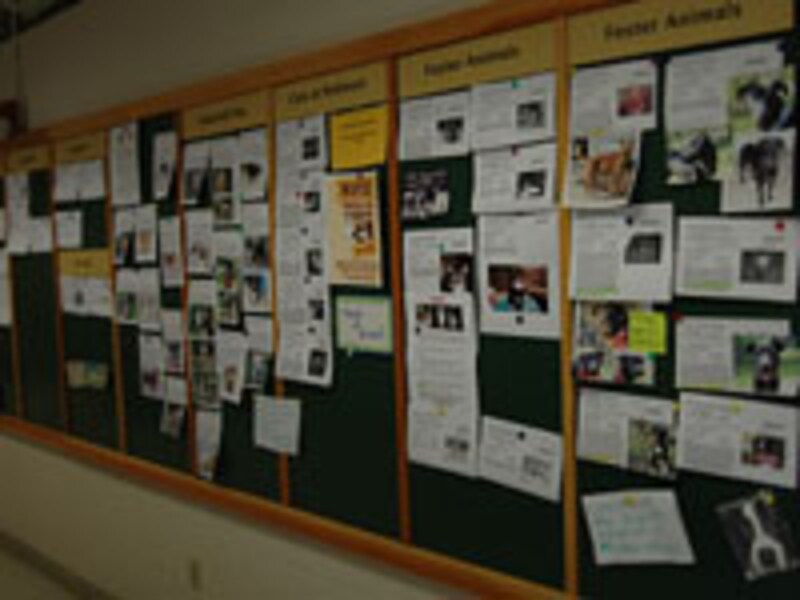 掲示板には他のシェルターなどの情報が