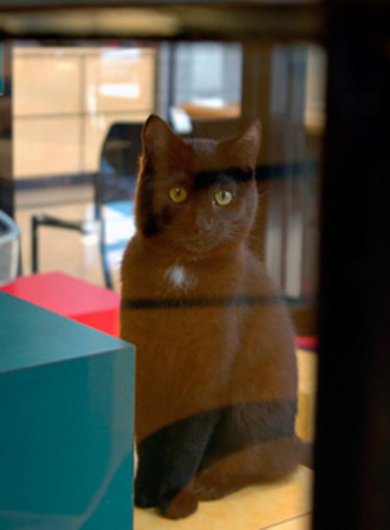 私の家族はどこかな?