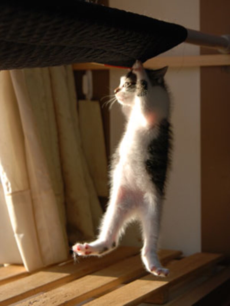 うんしょ。。。フ~。疲れるけど