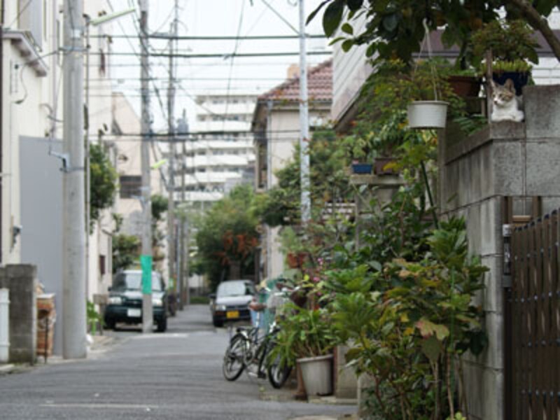 ここにも一人。探せるかな?