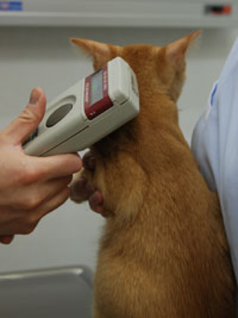 マイクロチップが入っていると個体識別に便利!