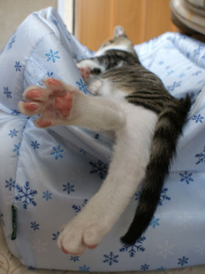 力が抜けると、グー