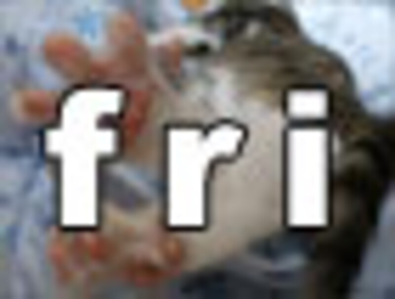今日のねこさん・金曜日