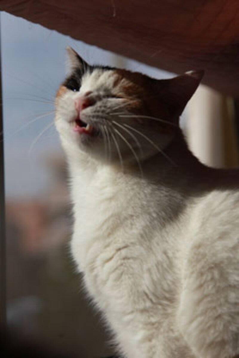 はふぅ。すっきり♪