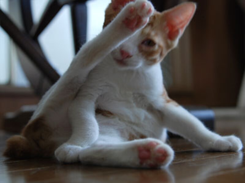 手で隠しながら…ね♪