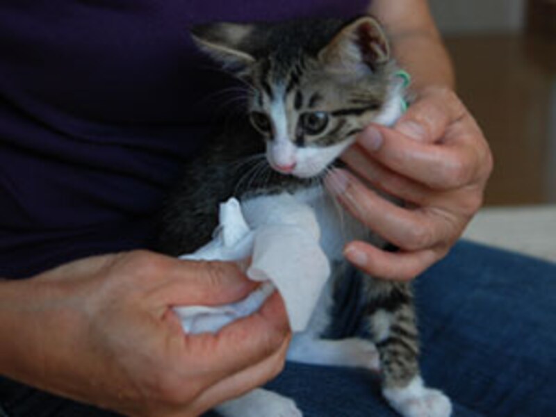 手が汚れちゃった時も~