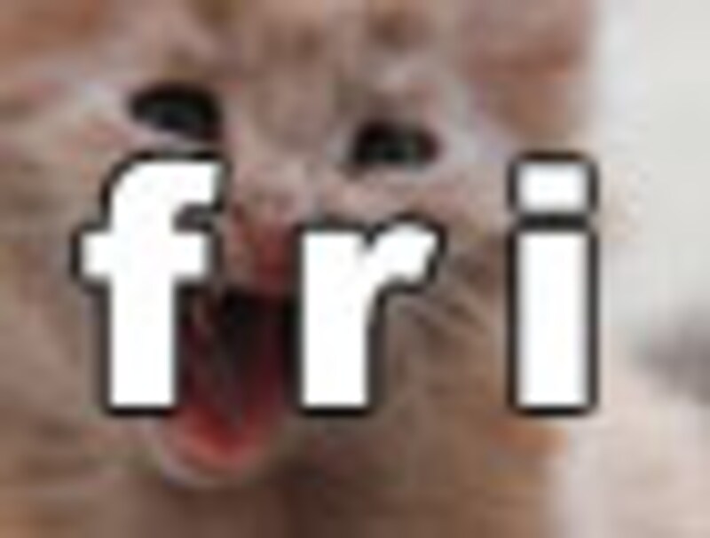 今日のねこさん・金曜日