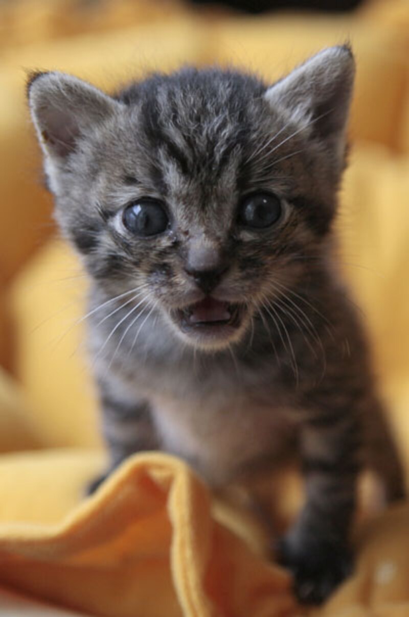 保護されて30日目