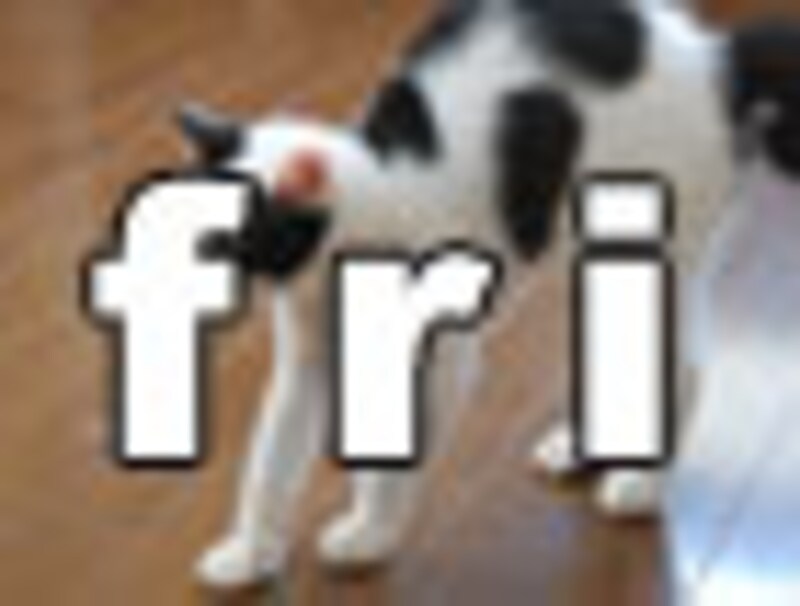 今日のねこさん・金曜日