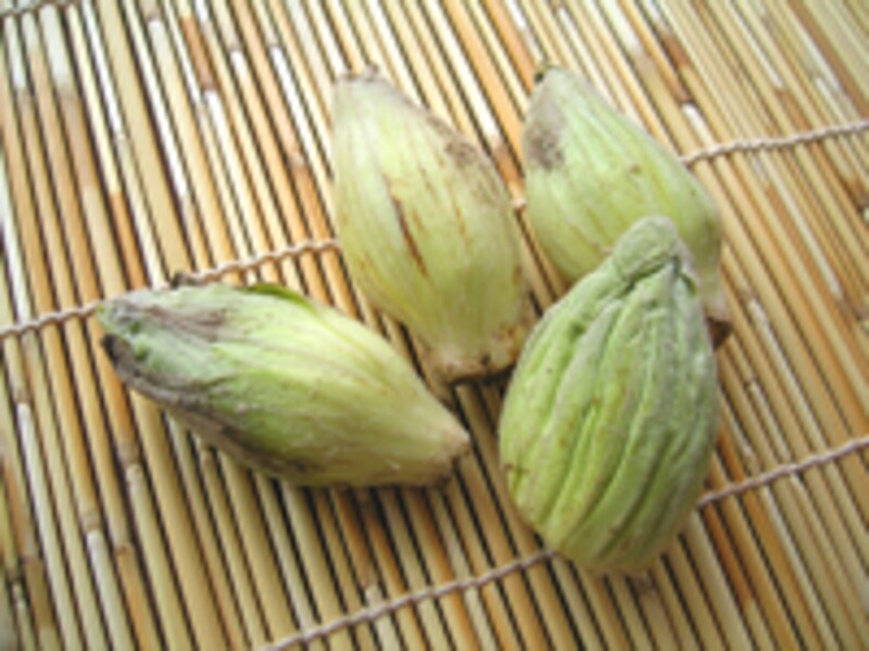 よいふきのとうの選び方