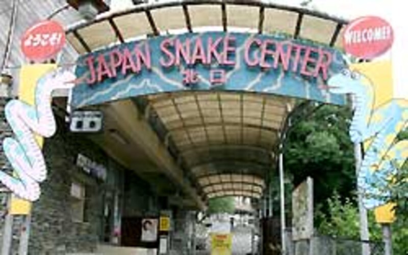 昭和の匂いがする