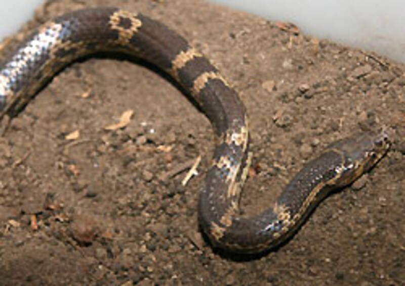 これは悪くない写真だと思うのですが