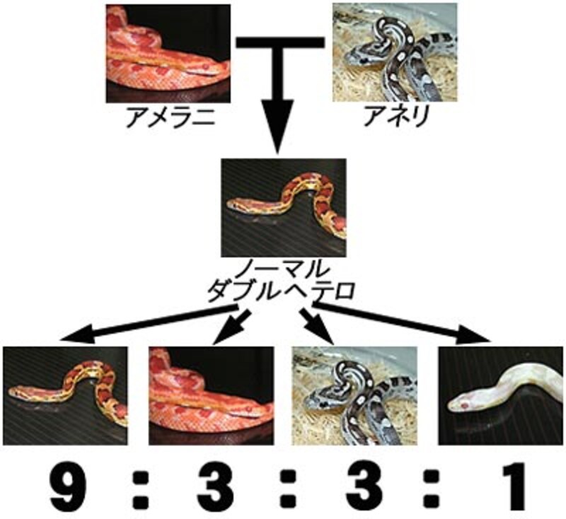 誰か...褒めてくれ