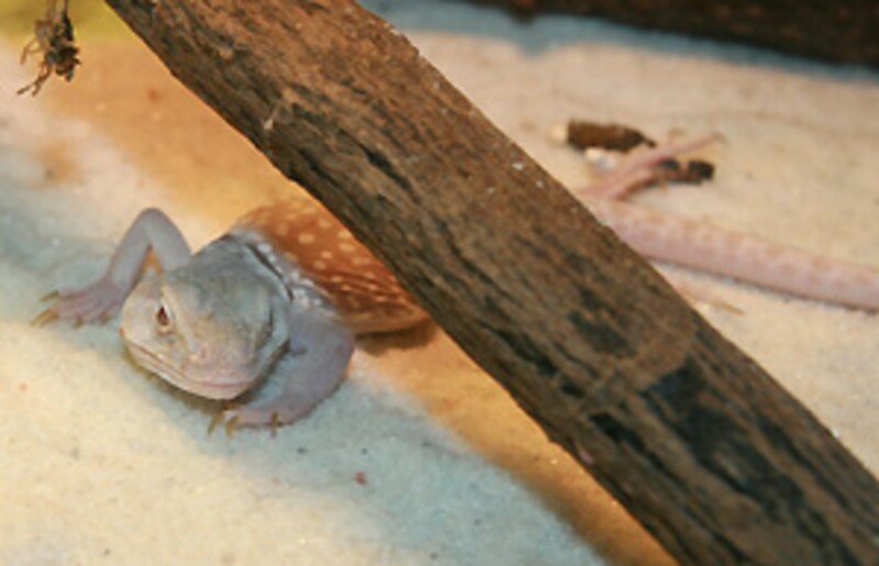 こんな写真しか撮れなくてゴメンよぉ