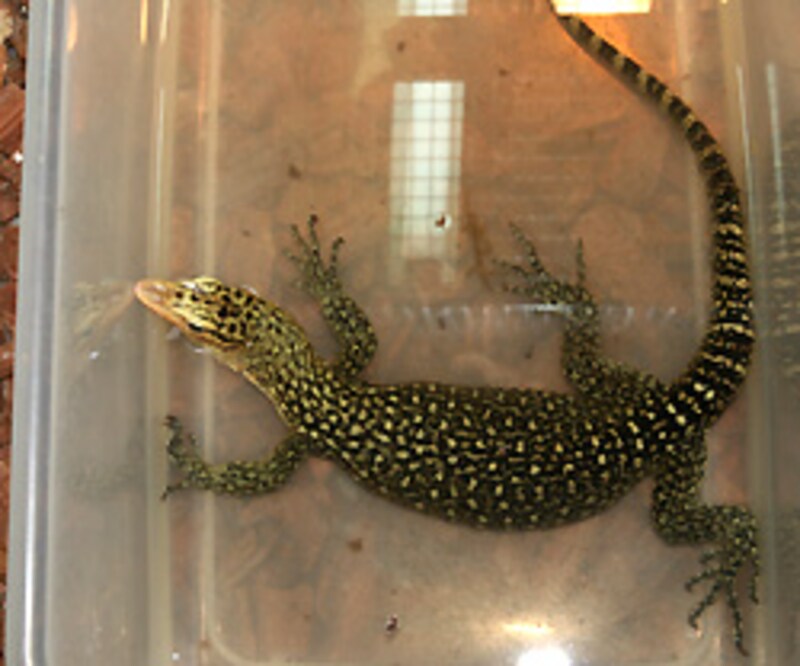 みこれほど水が好きとは知りませんでした