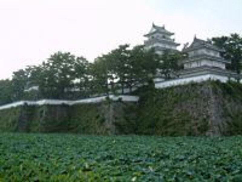《島原半島》島原城