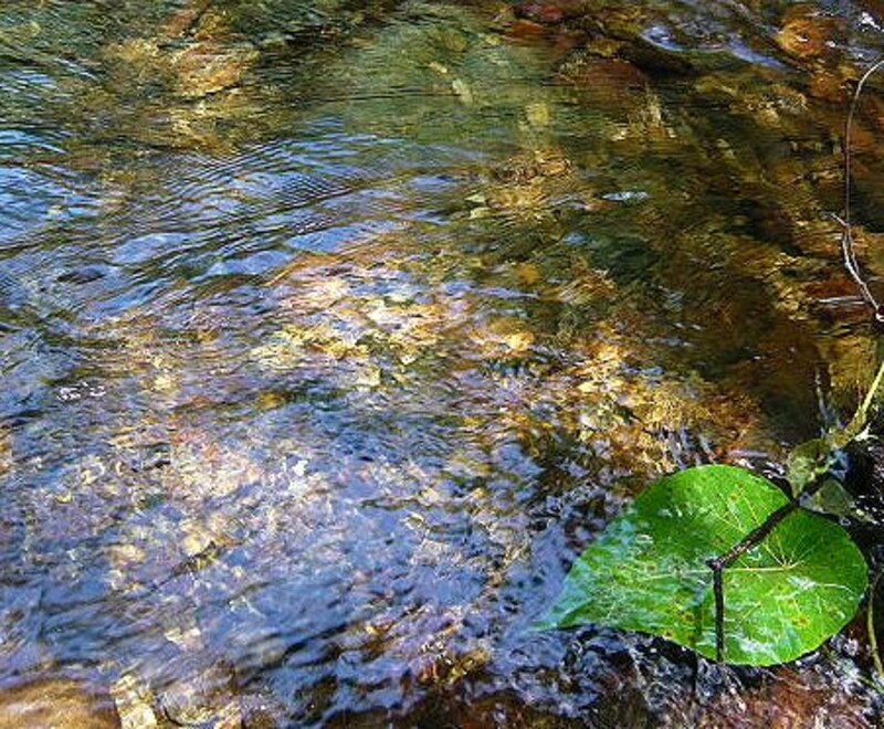 沖縄で沢歩きを楽しむ