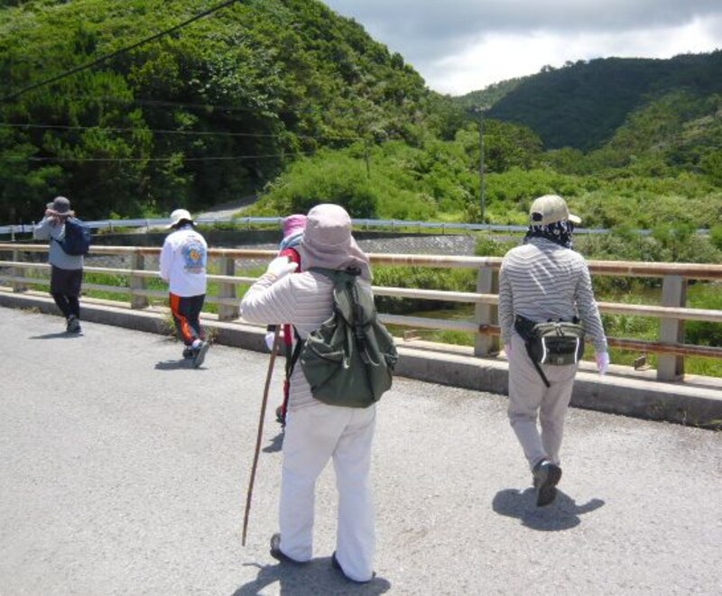 沖縄で沢歩きを楽しむ