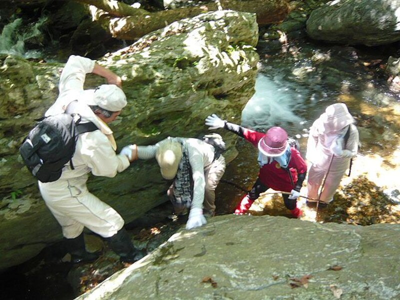 沖縄で沢歩きを楽しむ