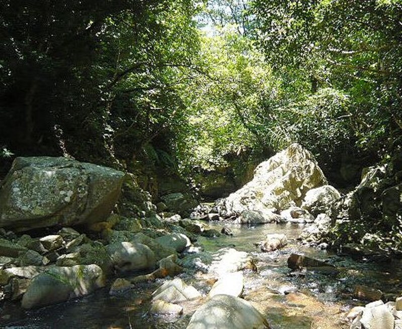 沖縄で沢歩きを楽しむ