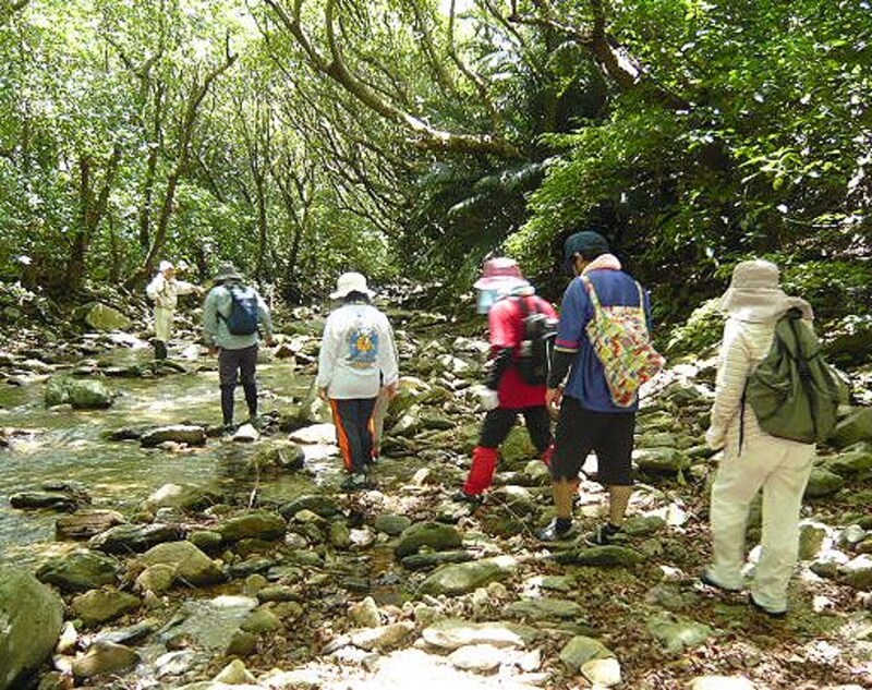 沖縄で沢歩きを楽しむ