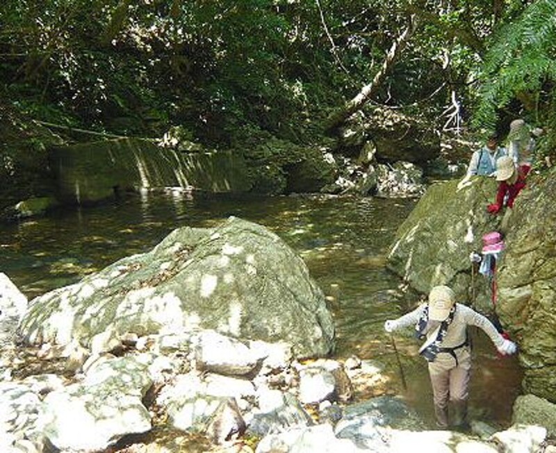 沖縄で沢歩きを楽しむ