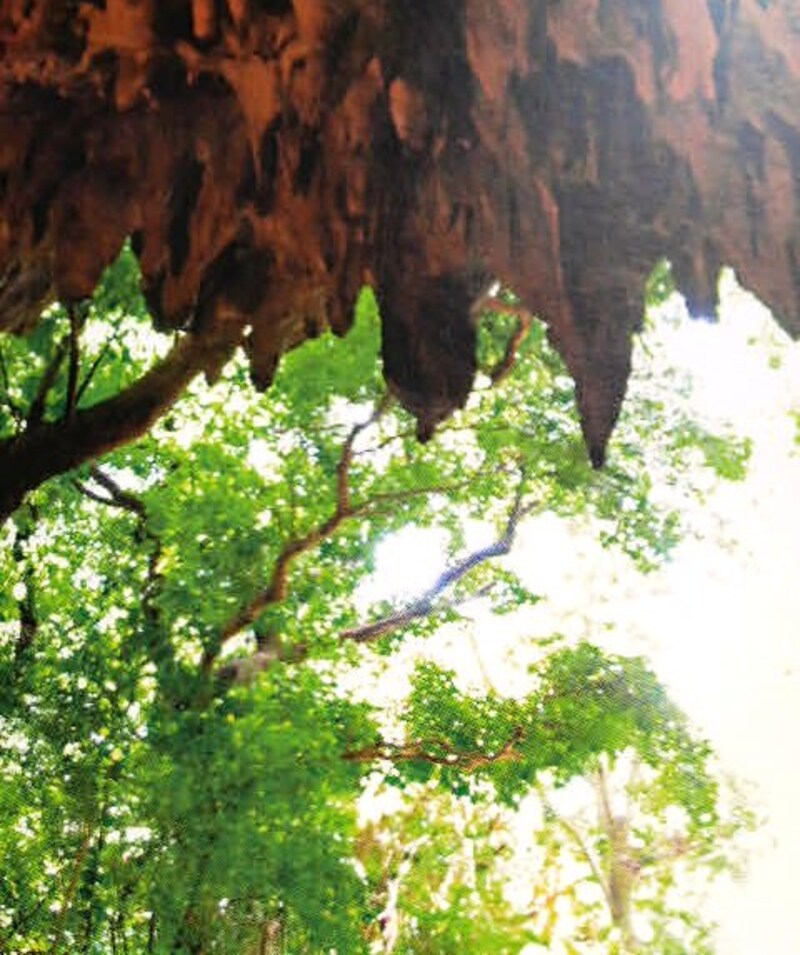 ガンガラーの谷ツアー