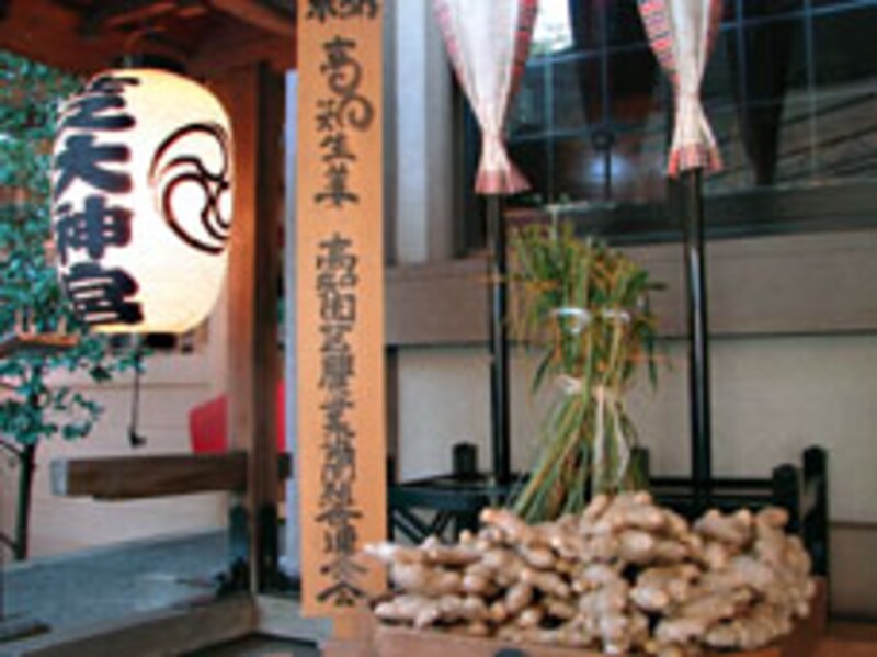 写真のタイトル