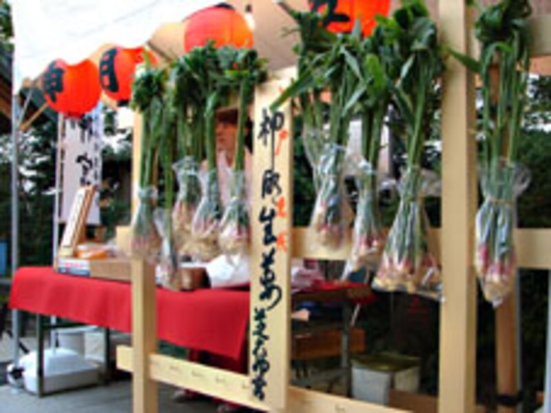 写真のタイトル