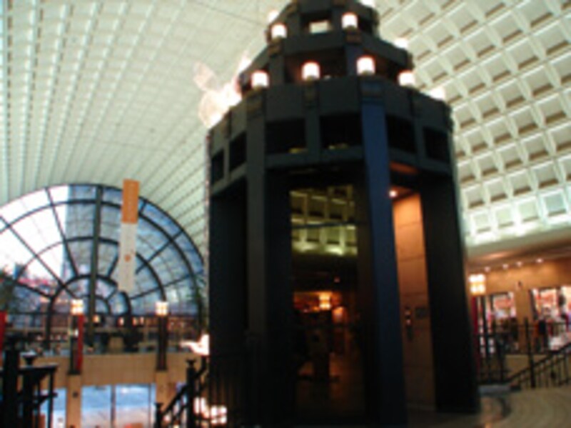 写真のタイトル