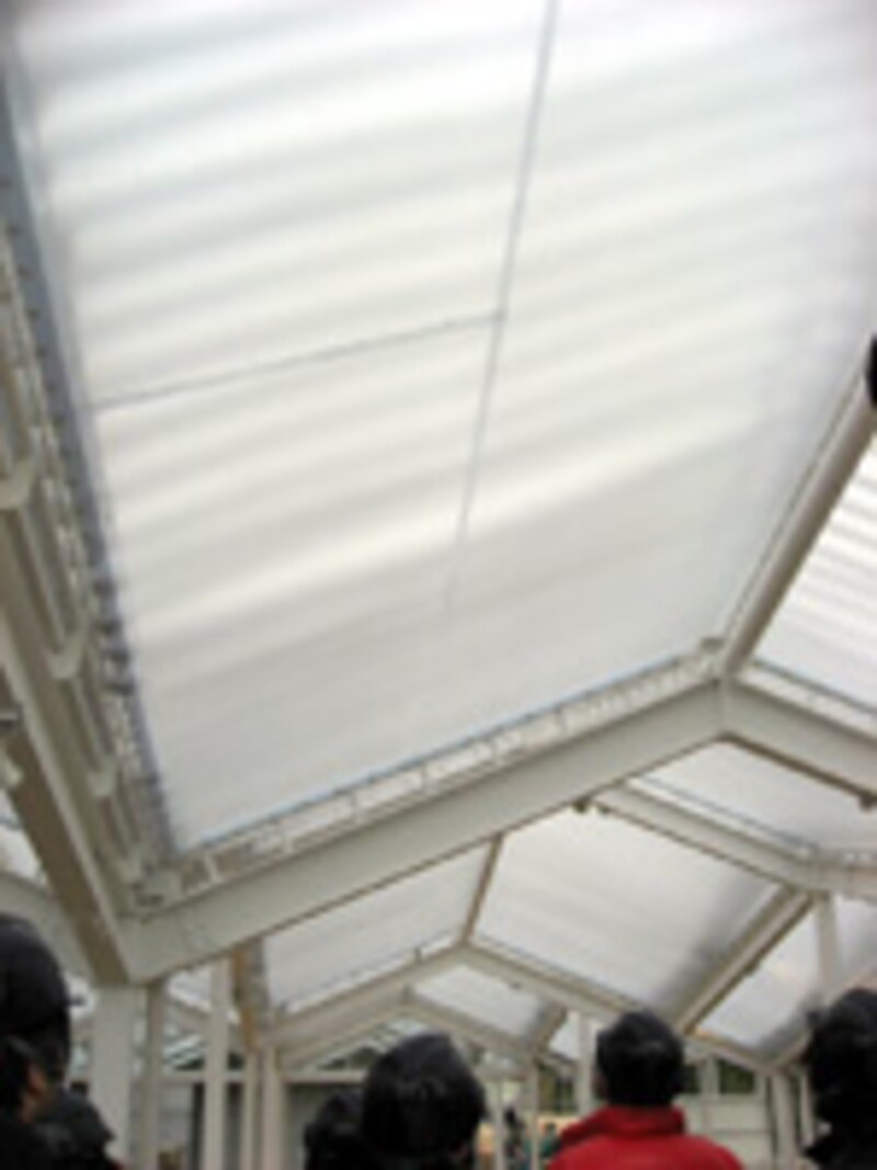 酸化チタン光触媒膜テント