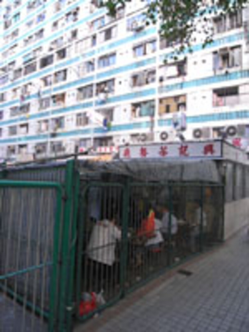 茶餐廳
