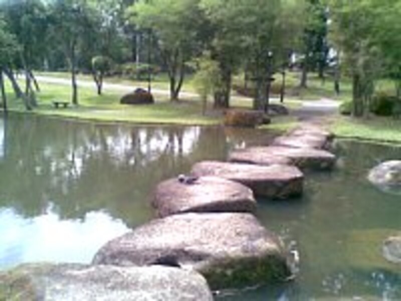 中国庭園内の池