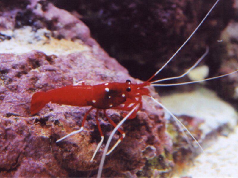 サンシャイン国際水族館