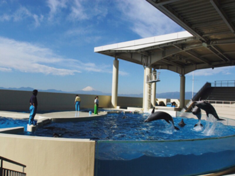 新江ノ島水族館