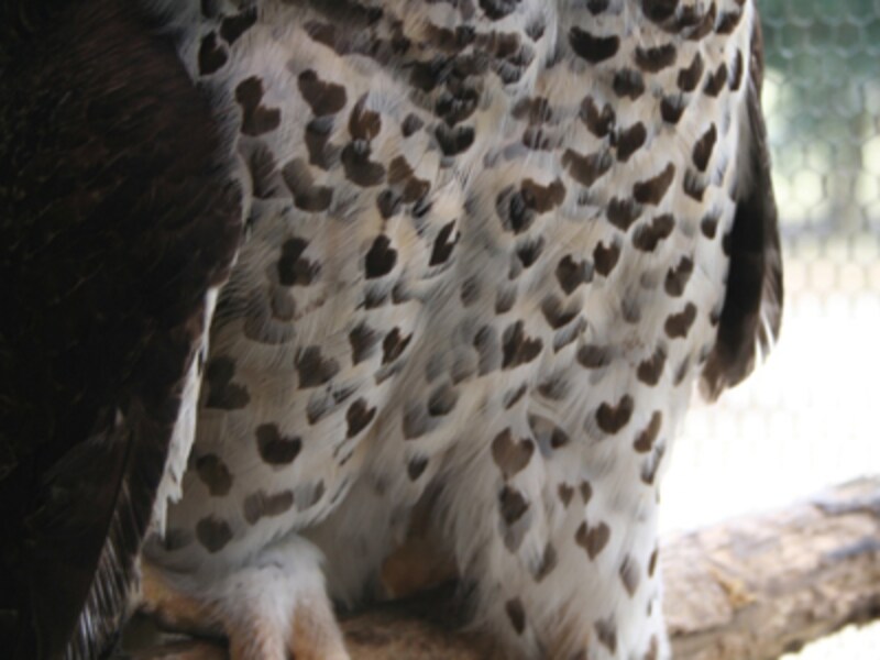 東武動物公園