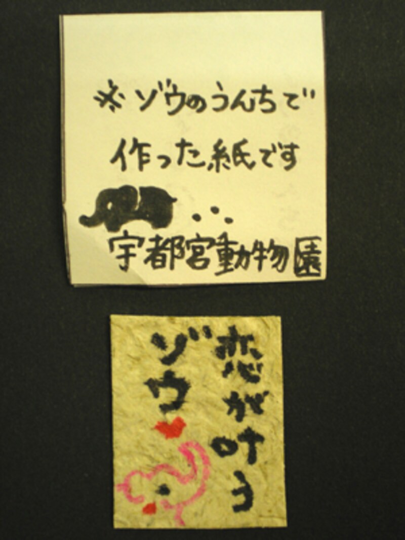 宇都宮動物園