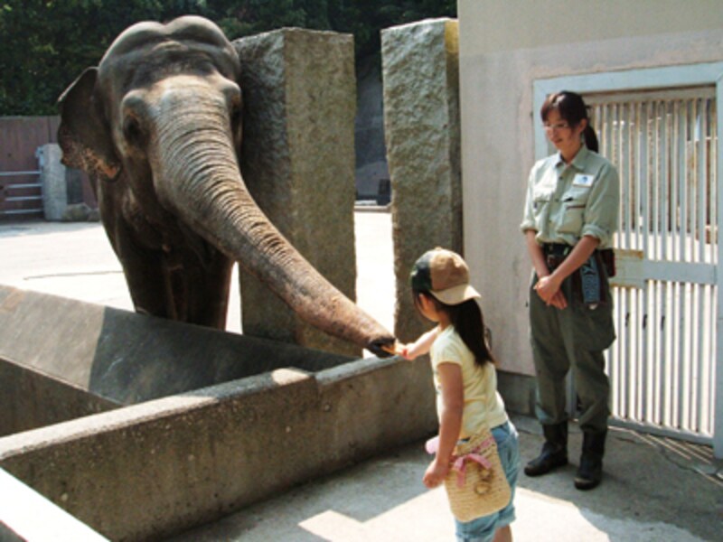 金沢動物園