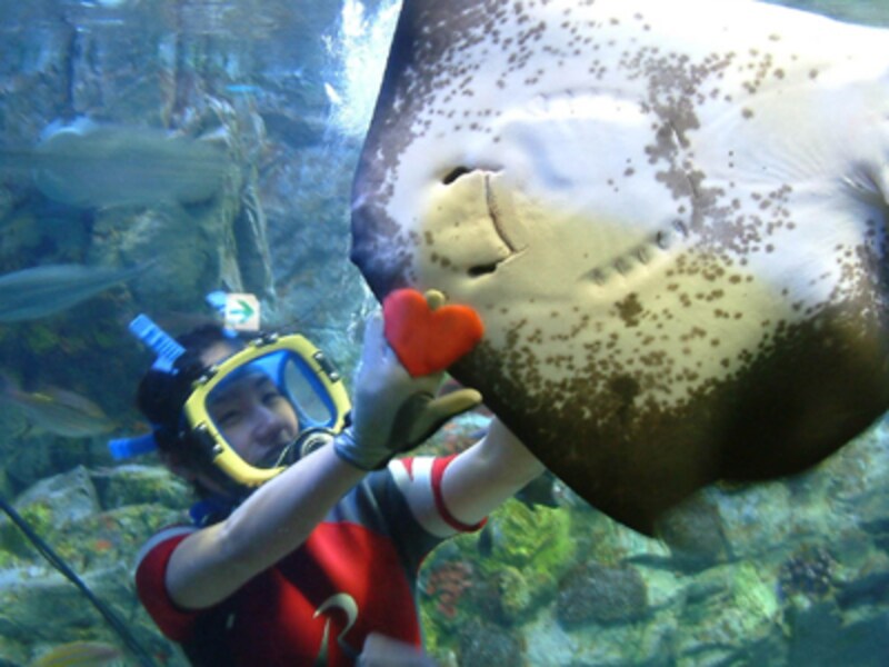 サンシャイン国際水族館