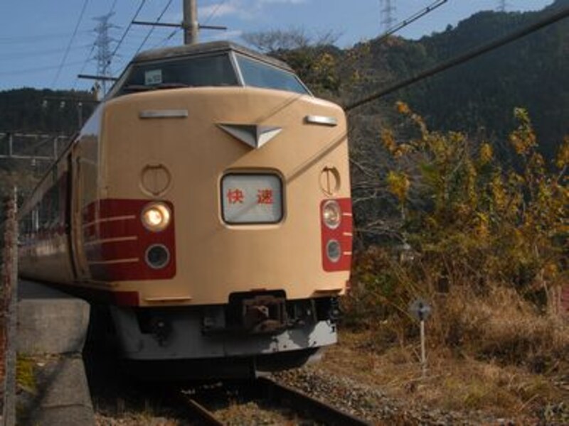 おくたま紅葉号
