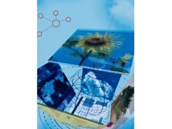 お金持ちになれる人は心の健康に気を付ける