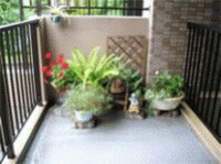 小規模宅地等,特例,要件,