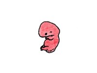 //imgcp.aacdn.jp/img-a/auto/auto/aa/gm/article/1/8/8/7/1/0/baby9.jpg