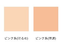 ウィンタータイプのカラーパレット(ファンデーション)