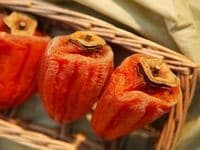 みずみずしいフルーツも乾燥するとシワシワに!